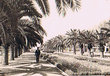 Fès - Av de France