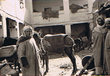Fès - Un fondouk dans la médina