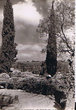 Jardin El Aboul