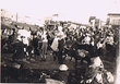 Cortège Européens sur Mules 2