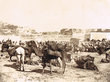 Marché à Tanger