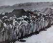 Femmes Berbères devant les tentes de leur tribu dansant l'aïdous. Rich (Moyen-Atlas)