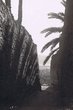 Figuig : ruelle