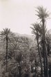 Ksar indigène