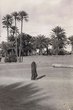 femme marchant devant les palmiers