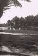 Cour d'eau et palmeraies