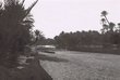 Palmeraies et cour d'eau