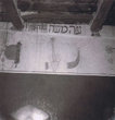 Intérieur de la Synagogue de Tazanakht (133)