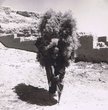 Femme arabe de Tiilit