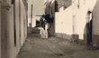 Casablanca: vers la nouvelle Médina 4