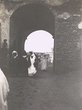 Rues de Rabat en 1897 / 5