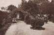 Oujda: la roseraie du jardin public