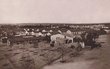 Oujda: vue générale du camp