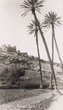Tinghir: l'oued Todra et la kasbah