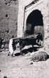 Tinghir: vieille porte avec mendiante roulée dans ses haillons