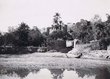 Tinghir: l'oued Todra