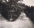 Algésiras: jardin du "Reine Christina"