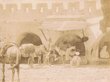 Chevaux chargés derrière les créneaux de tanger