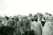 Le marché aux bestiaux à Skoura