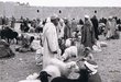 Marché aux bestiaux