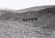 La vallée du Draa