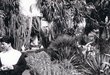 Les jardins Majorelle à Marrakech