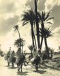 Marrakech, aux portes de la Palmeraie