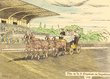 Représentation de la fête de la 3eme Division de Cavalerie