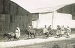 En allant au marché