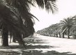Une avenue à Fès, ville nouvelle