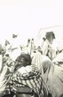 Arabes autour d'un conteur