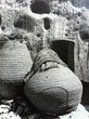 Paniers en osier