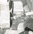 Cimetière de Haskoy (Corne d'Or)