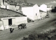 Tanger en 1955