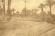 La Palmeraie à Marrakech