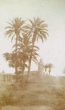 La Koutoubia à Marrakech