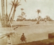 La Palmeraie à Marrakech