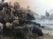 Dans la vallée de l'Ourika