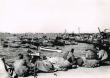 Le Port de Casablanca : La darse