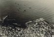Casablanca, vue aérienne du port en 1917