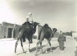 De retour à Ouargla