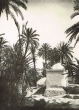 Le marabout Sidi Harazem