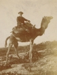 Homme sur un dromadaire