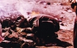 Pèlerinage au cimetière de Asjen