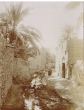 Dans la palmeraie de Marrakech en 1910
