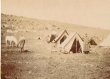 Campement à Bekhit (région d'Oujda) en 1917