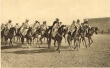 Cavaliers berbères à Marrakech