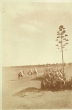 Jardin d'essai, l'aguedal
