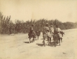 Hommes sur leur mulet