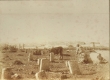 Rabat et la casbah des Oudaïa (vue prise du cimetière de Salé)